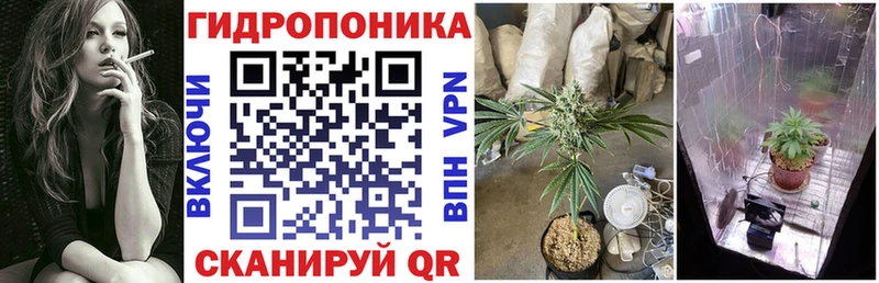 Купить закладку Питкяранта ГАШ  Alpha-PVP  Меф мяу мяу  Конопля 