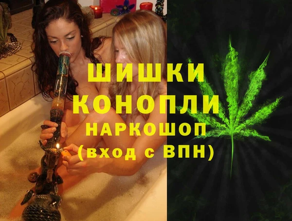 ешки Алексин